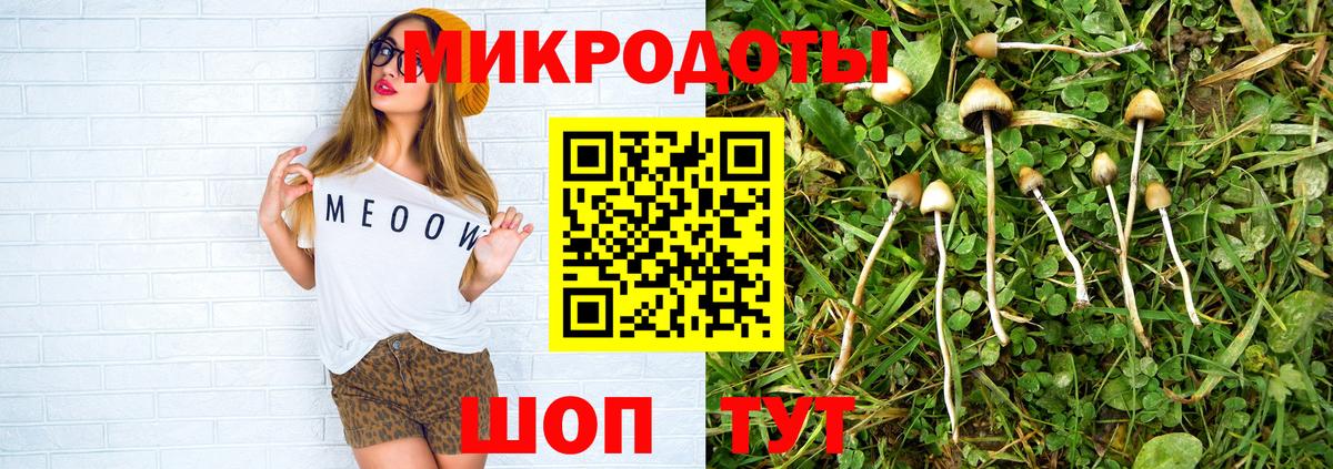 Псилоцибиновые грибы Psilocybine cubensis Алапаевск