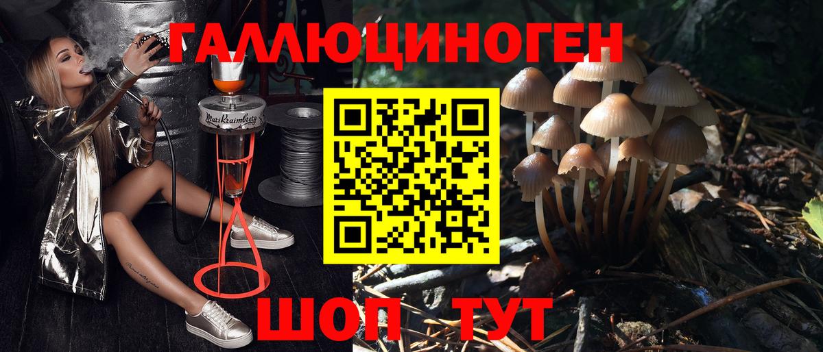 Галлюциногенные грибы Psilocybine cubensis  Вход с VPN  Алапаевск 